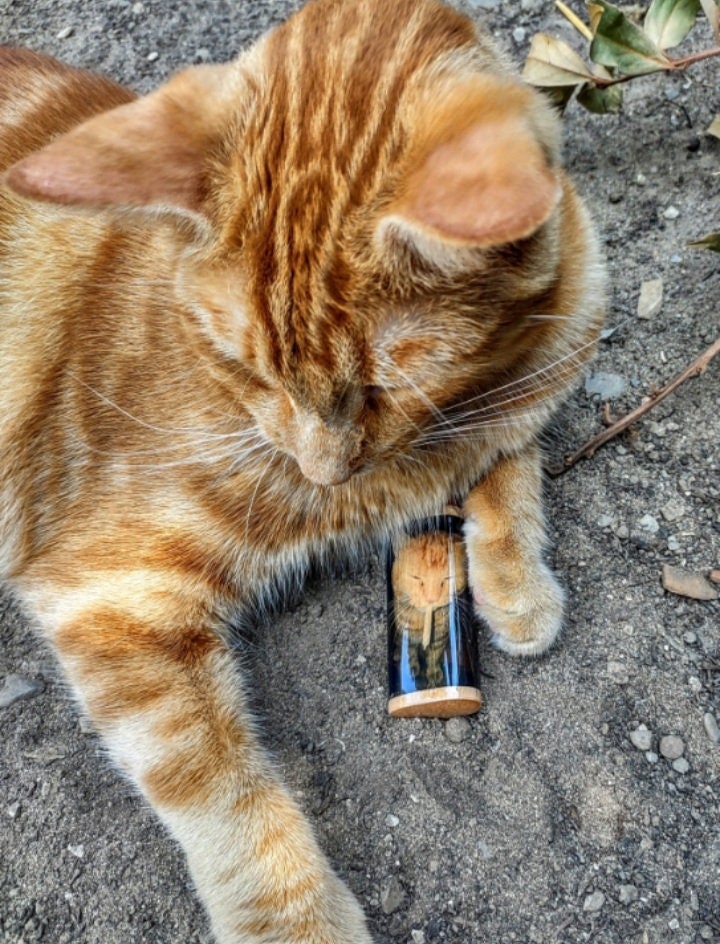 Funny Cat Smoking Joint Stoner Cat Fits Bic Lighters Case Holder Sleeve Cover